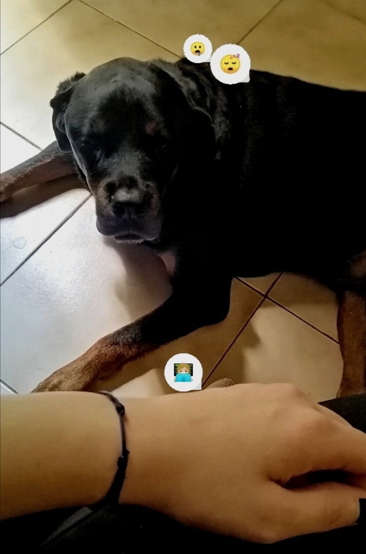 Griffin... I always jealous to your chilling
#GM
#NFTCommunity