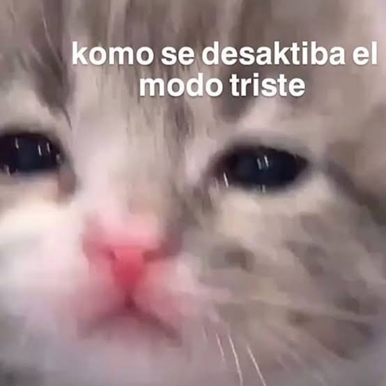 CarigatiOficial (@julioelroboc) on Twitter photo 