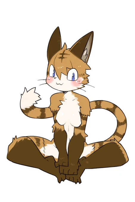utnkミーアちゃん 