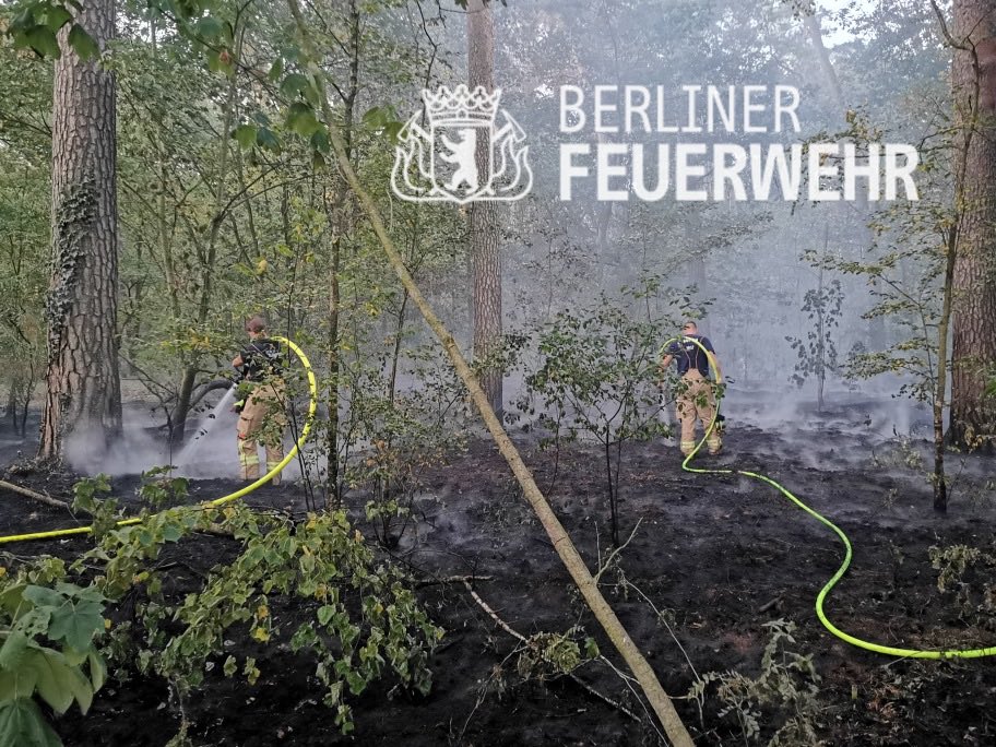 #Waldbrand im #Grunewald
An der #Havelchaussee #Großes_Fenster brennen 4.000 m² Waldboden. 52 Kräfte Berufs- und #Freiwillige_Feuerwehr sind seit 6 Stunden im Einsatz. Die #Brandbekämpfung wird noch länger andauern. Wasserversorgung ist über das #Löschboot gesichert. Update folgt