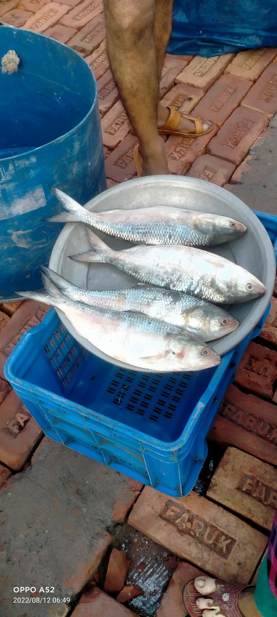 বাংলা সেরা রূপালী ইংলিশ।