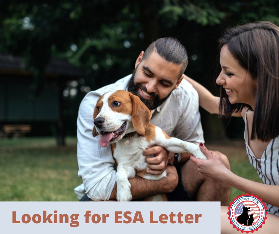 americanpetco's tweet photo. Our Doctors Licensed in California & South Carolina provide animal approval solutions for housing and psychiatric service for travel.
Our Healthcare Professionals Here and Online Pet Evaluation click now!https://t.co/vTBlYFfhYs
#ESA #esaletters #esadoctors #esadogs https://t.co/ceYpt4bYmD