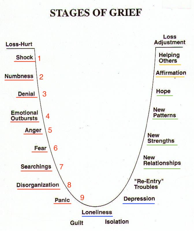 It's normal that most voters / supporters of the presidential candidates/parties are grieving or hurting right now because there hasn't been an outright obvious clear winner thus far from the elections of 9th August. That's totally OK. Check which stage you are at on the chart👇🏾.