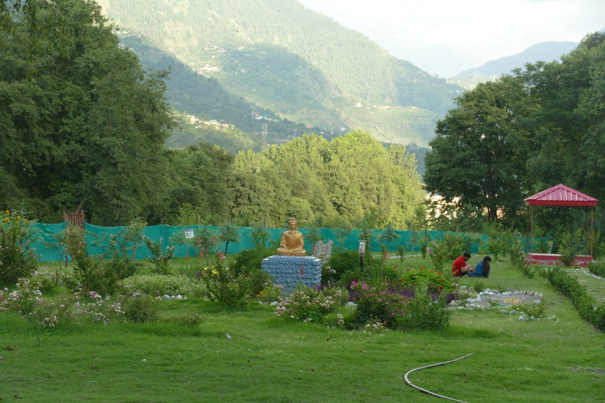 dhaadon's tweet photo. Tree plantation in Naggar https://t.co/1uKCkstHre via @YouTube https://t.co/3h5RLBMnLv