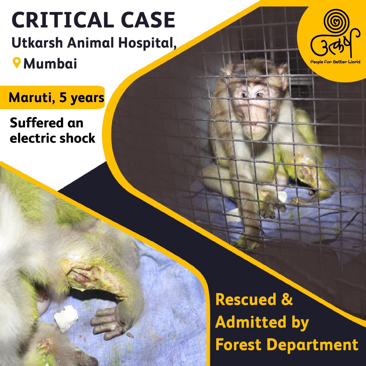 Utkarsh-Animal Welfare on Twitter: Utkarsh-Animal Welfare on Twitter: