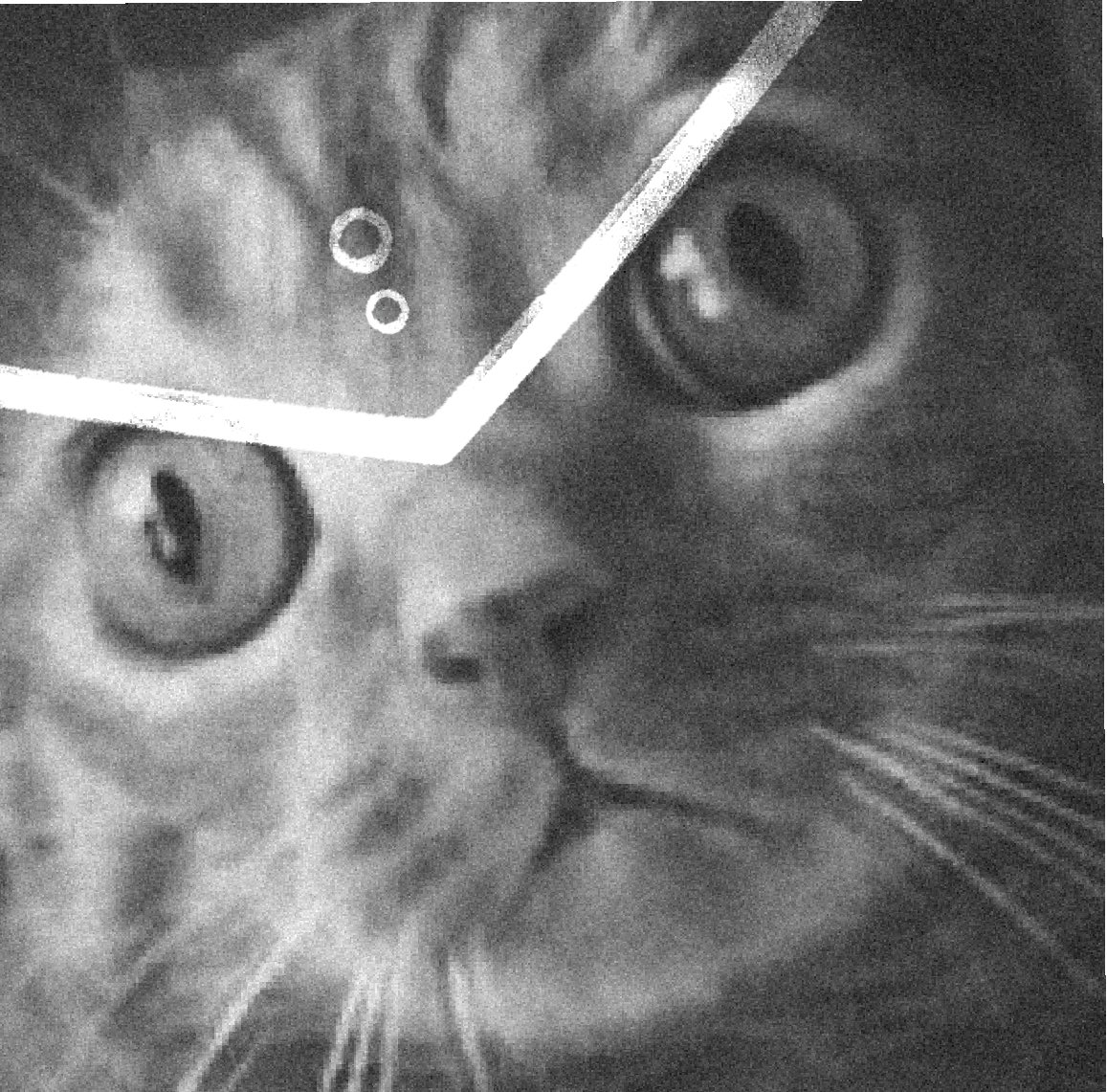 ELECTRUMSOL's tweet image. imagine needing a server to store meta data for a jpg nft. 

Wow.

In crypto. LOL.

#PSEUD