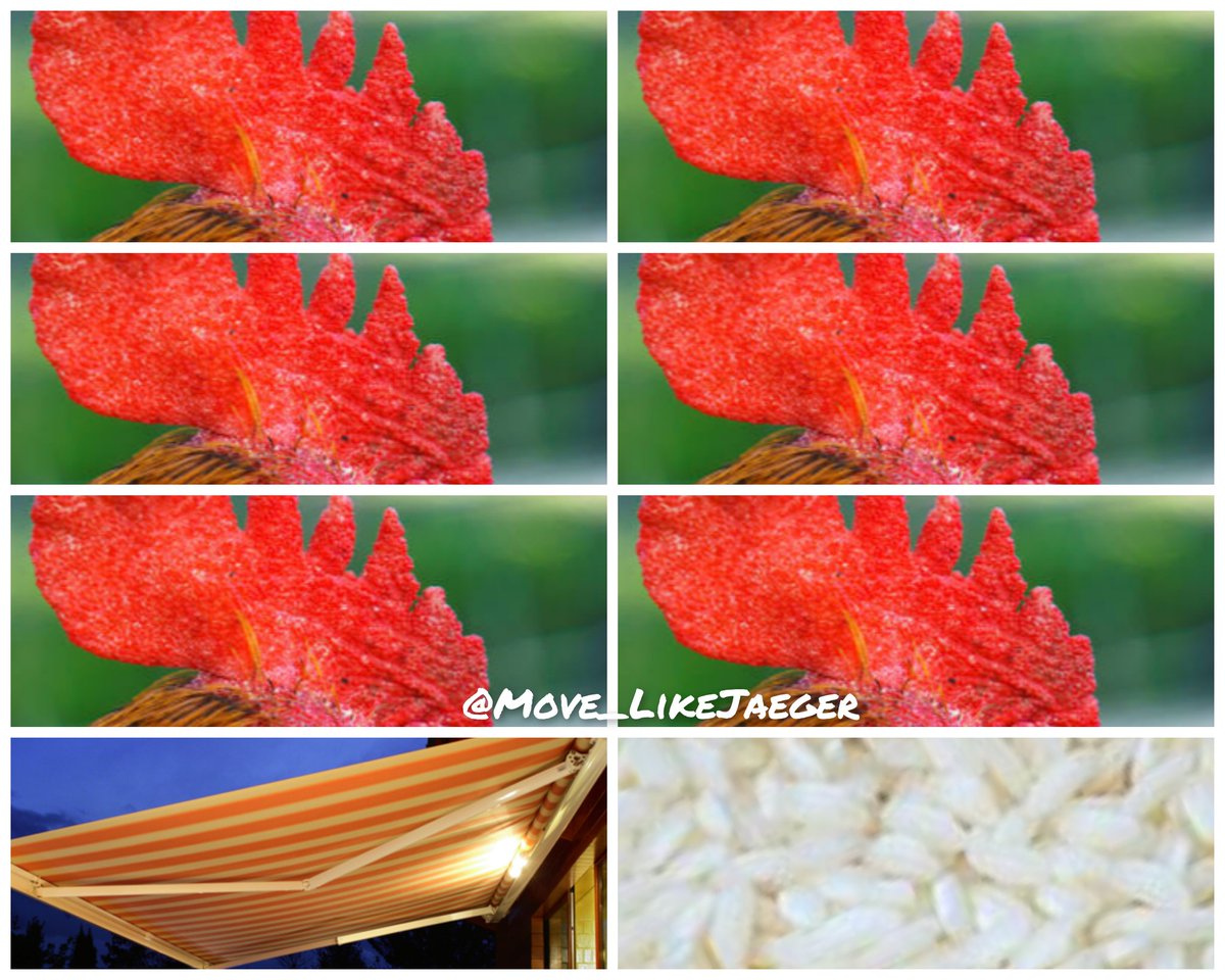 George Clown-né 🇺🇦🇺🇦🇺🇦 tweet media