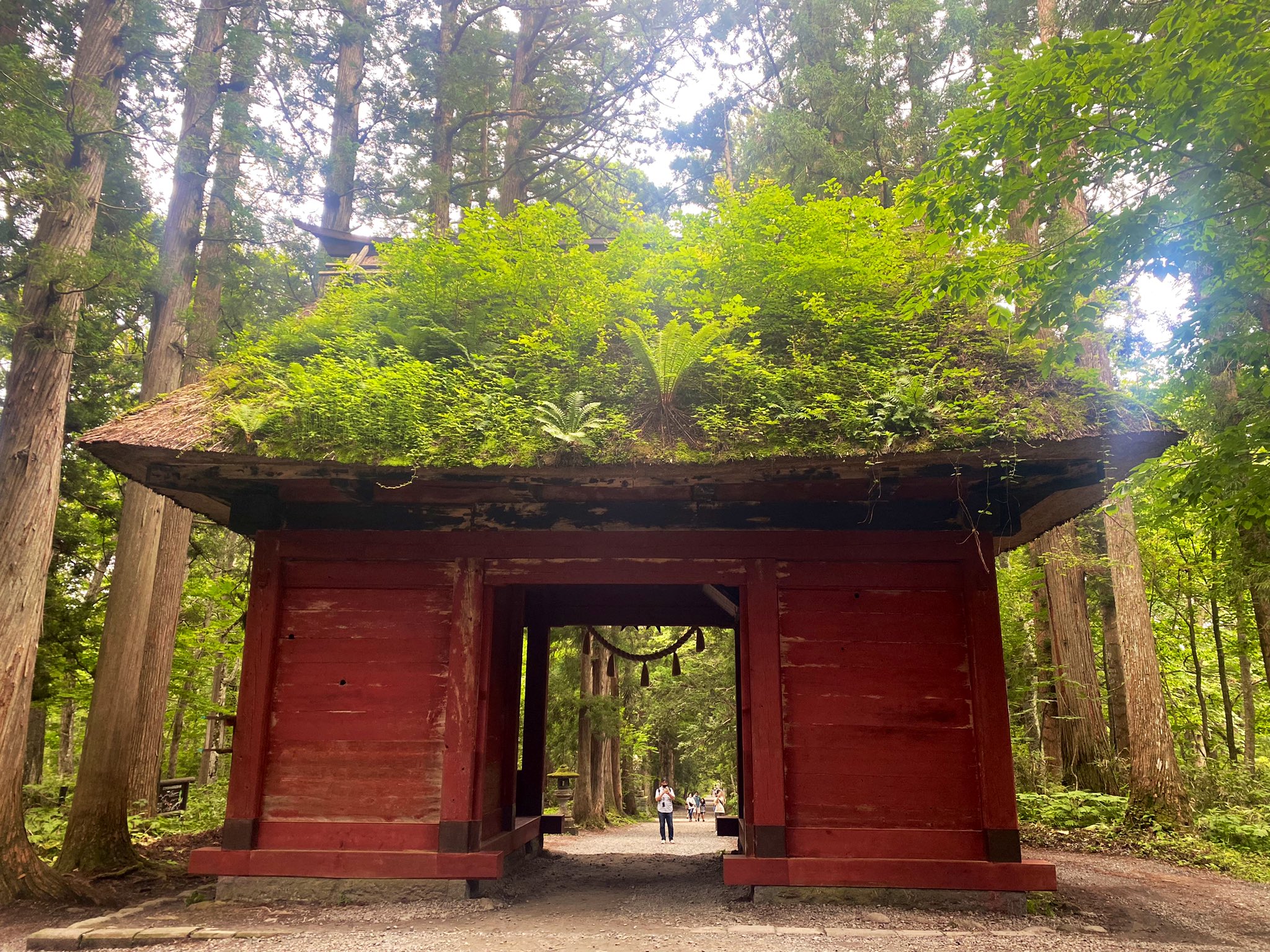 Tweets With Replies By 千葉 美幸 Archiba Twitter