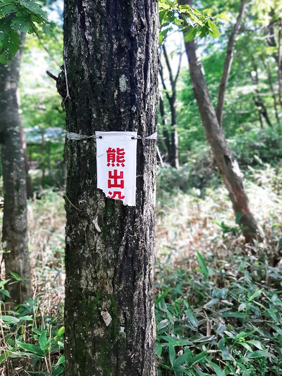 jimko_camp's tweet photo. 「熊出没注意」がやられてたんですけど、群馬の熊ってもしかして文字読めます？ https://t.co/C8OKvqkXZT