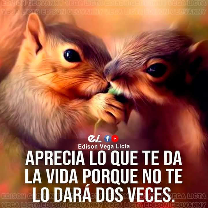 VidaEquilibrad4's tweet photo. https://t.co/dgOmuqkesn