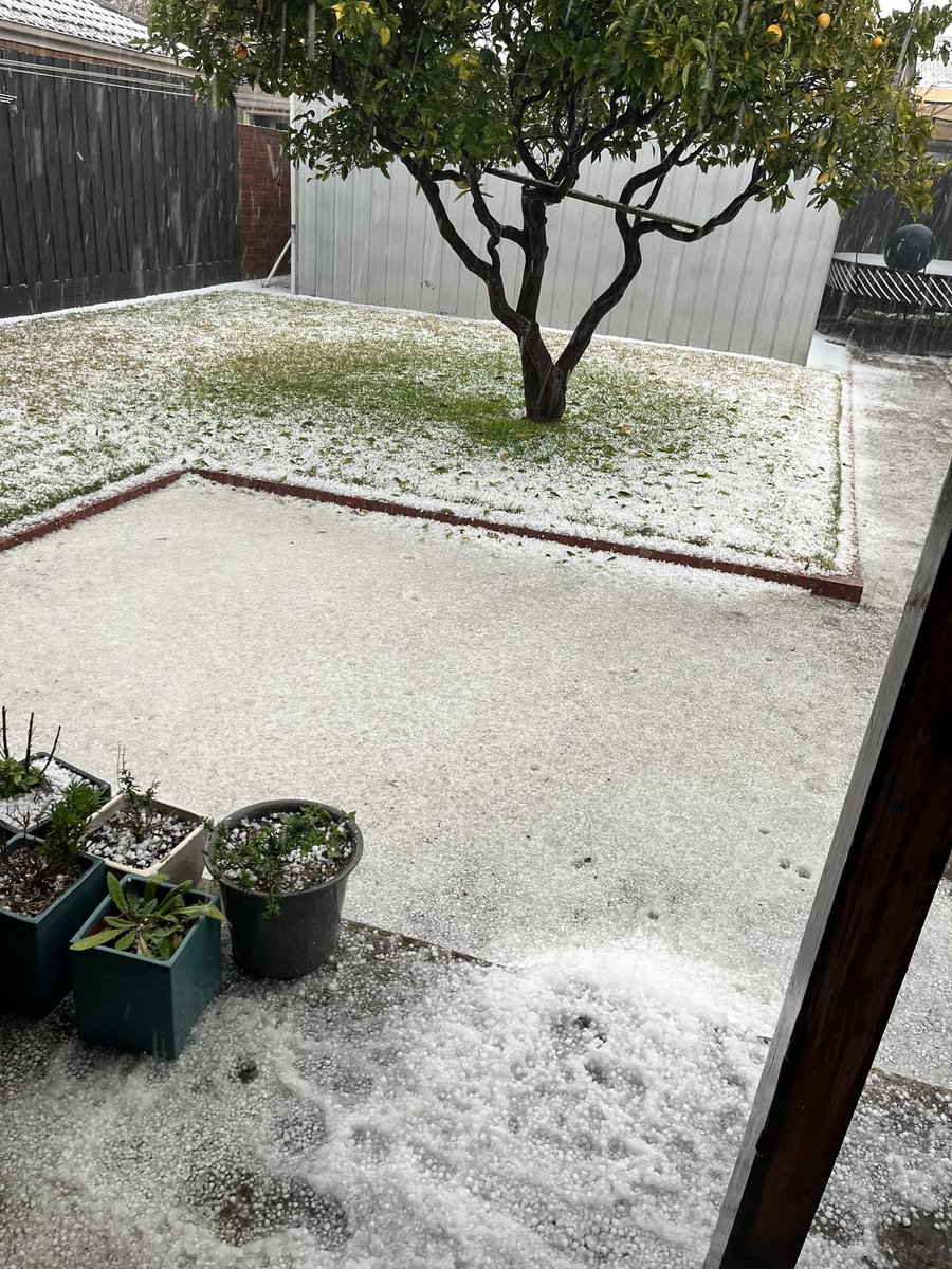 Things going well in Northcote.. #3070
