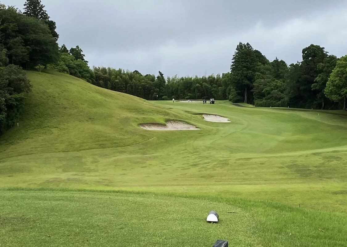 lili63285's tweet photo. Go golfing https://t.co/mIGZvJuHUT