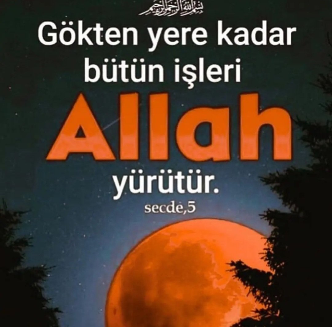 Ergün Gün (@ergngn9) on Twitter photo 