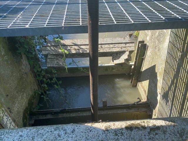 DeTom48's tweet photo. #TeamEA working with #IDB keeping levels up during #HeatWave
#TidalGravity feeding through the mile from #RiverStour
Feeding #Wantsum #SarrePenne and #WadeMarshes
@EnvAgencySE
@ADA_updates
@riversideros https://t.co/9YLqpH1eUs
