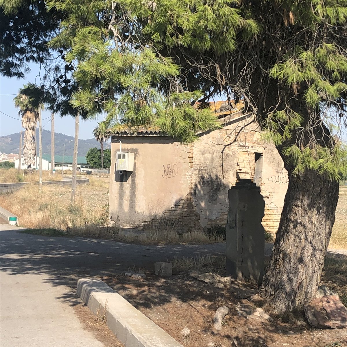 pepmari4's tweet photo. Éxito es convertirte en el árbol más grande y frondoso que podías llegar a ser, sin hacer sombra a ningún otro árbol.
#ParcAgrari https://t.co/2Zxk5oi6bS