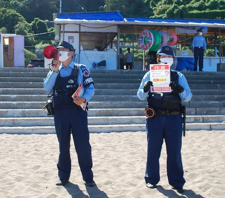 17人がイルカに噛まれるなどして負傷。「イルカを見掛けたら陸へ」