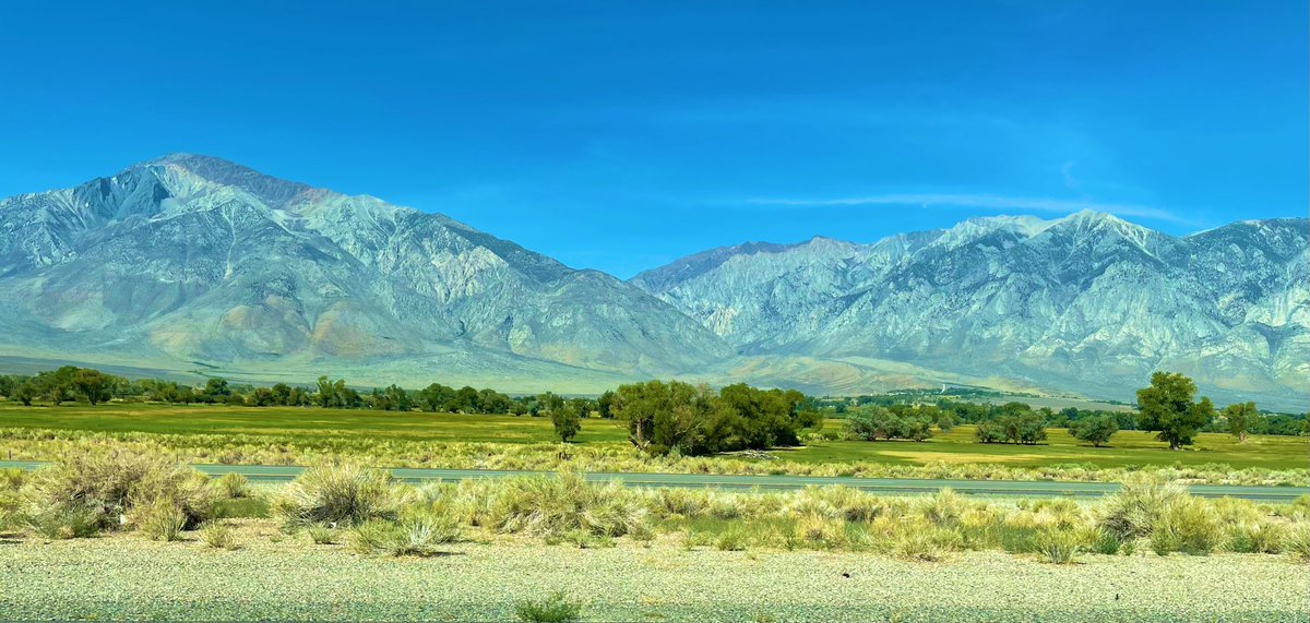 tripleMMeaning's tweet photo. And I noticed @GlenCampbell changed “losing” to “healing” in @JacksonBrowne’s masterpiece, “These Days.”
And I lost it.
Because it was the perfect message at the perfect time in the perfect place.
I had a cry like I haven’t had in ages.
#Route395 https://t.co/tVZ2UuubwN