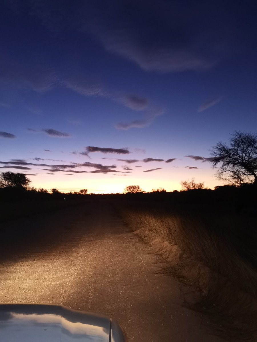 Black-monopoly tweet media