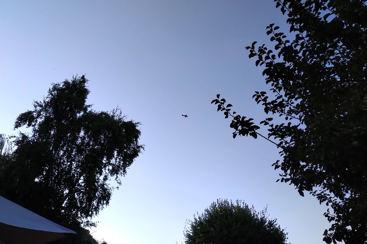 Guy Sutton tweet media