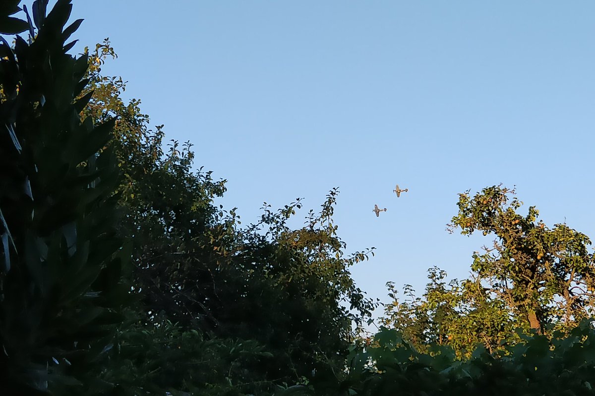 Guy Sutton tweet media