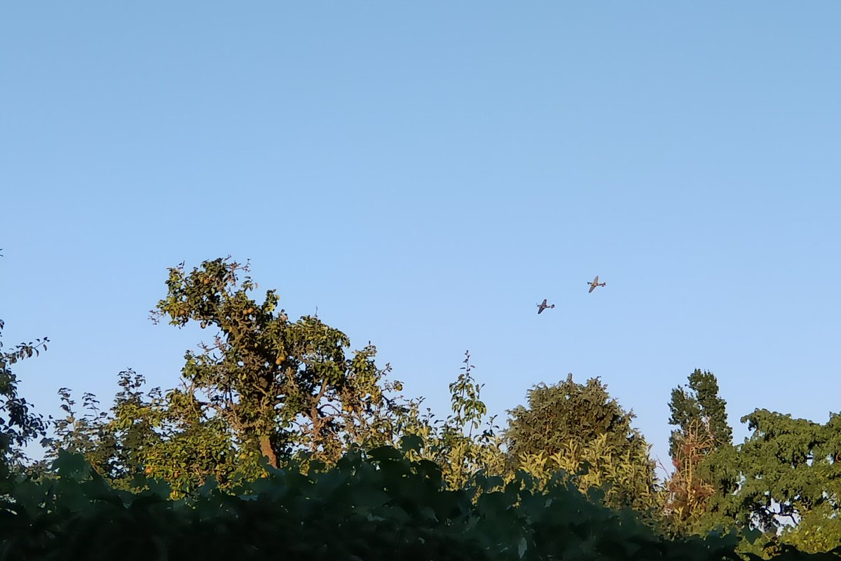 Guy Sutton tweet media