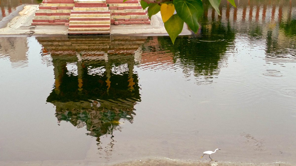BhuvaneshV15's tweet photo. *MISSION JAL DHAROHAR*
Essence of The Temple Tank
Location: Sri Parthasarathy temple tank
Institute: School of architecture and planning, Anna University, chennai
#AICTE
#AICTE_INDIA
#MissionAmritSarovar 
#MoHUA
#AmritSarovar 
@annauniversity https://t.co/6wy1EF0w3r