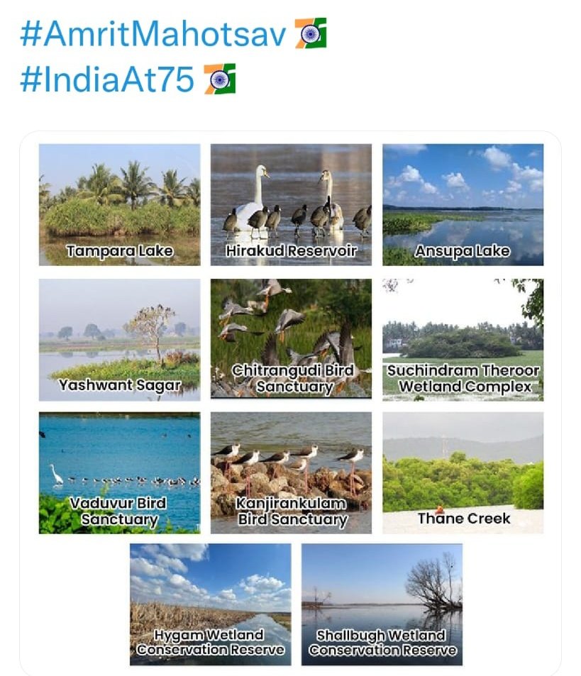 SunilLimayewl's tweet photo. Great achievement 🐦🐧🐔🦅🦆🐥🐣🐤
Thane Creek&amp;FS recognised as Ramsar Site! 🇮🇳💐FD &amp; maharashtra govt .rocks🐾 https://t.co/mnUohtNU20