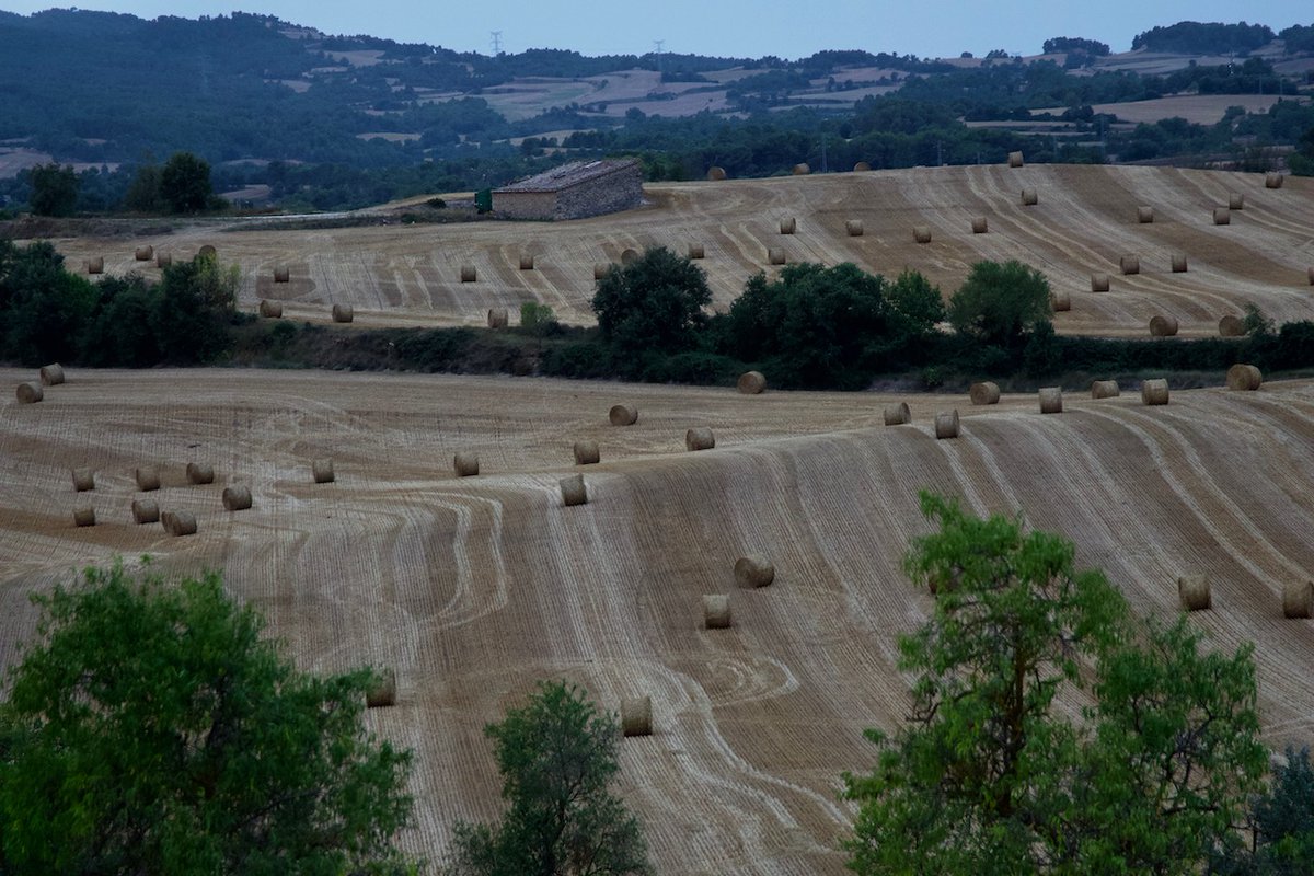 Bon dia Sta Coloma d Queralt
#segarrejant #goodmorning #Countryside #Catalonia #m'agradaelmeupaís <a href="/finslagorra_1/">finslagorra ||*|| SÍ</a> <a href="/jolival65/">JOliva||*||</a> <a href="/montserumbau/">montserrat rumbau</a> <a href="/martapontnou/">MARTA PONTNOU</a> <a href="/salvad_m/">RosamSal ||⭐|| 🏴󠁧󠁢󠁥󠁮󠁧󠁿#Jo soc CDR# *CxR*</a> <a href="/martalbareda/">Marta Albareda Valls</a> <a href="/jordicodol/">Jordi Còdol Montagut</a> <a href="/betaltarriba/">Bet Altarriba</a> <a href="/mccorominas/">Carme Corominas</a> <a href="/cantireta/">Montserrat Aloy 💬✏📕 🎭🇺🇦</a>  <a href="/xatoQuico/">Xato Quico Tram 37</a> <a href="/Ifarre2/">Imma</a> <a href="/CanelaBalsebre/">rosa canela</a>