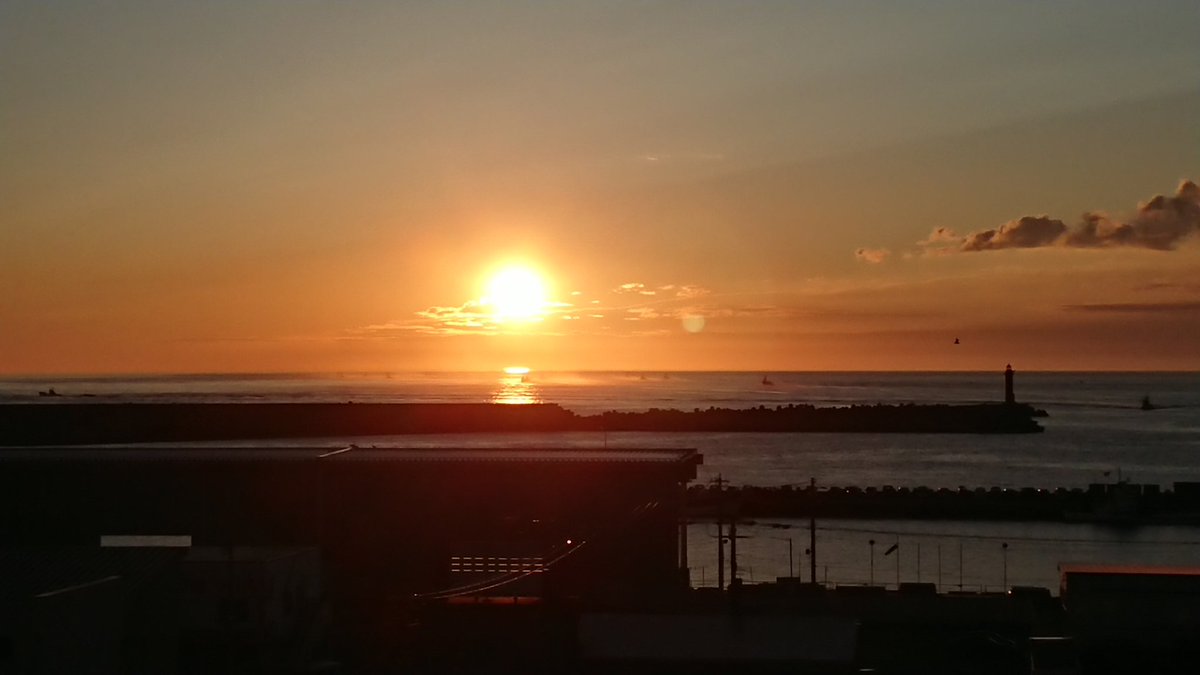 DutchYokohama's tweet photo. 今年の北海道ツーリング終了。

今年は、エゾシカの目撃回数が一番多かった。野付半島だけでなく、国道を走行中に横切るシカをほぼ毎日目撃した。

その他に、キツネ、タヌキ、リス等の小動物の横断。
飛ばずに横切るクワガタもいた。

これから北海道ツーリングを楽しまれる方は動物の横断に注意！ https://t.co/Aox4rG0jEK