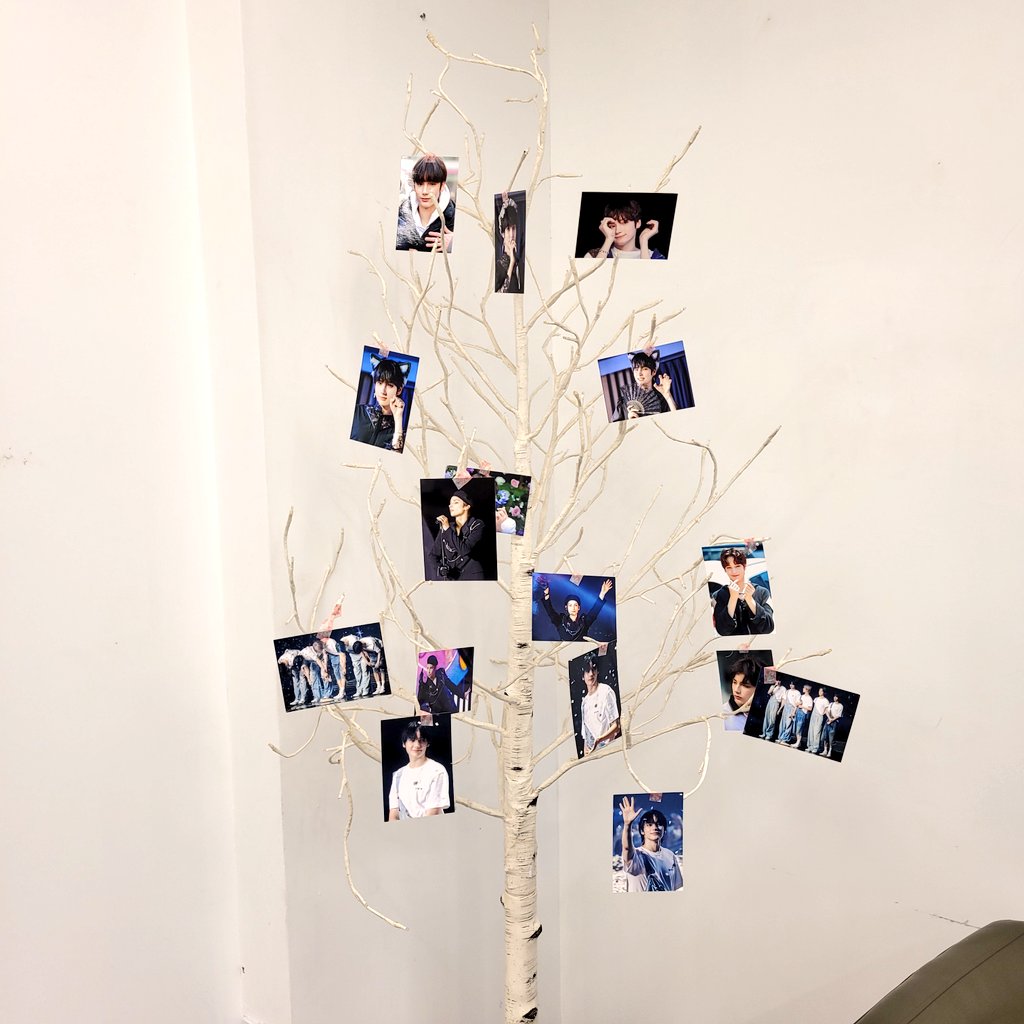 nunu_lottery's tweet photo. 홍대 브라운시티
럭드o ->9번 돌렸고 액자뽑음!!
2층이 럭드존이니까 꼭 가세요♡ https://t.co/mzSh5RACR6