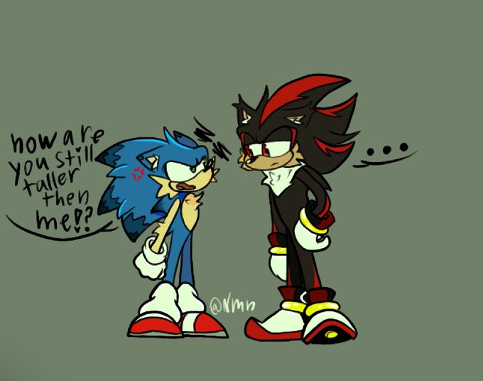 Rido on X: Be my eyes, and i'll be your voice. I remember a fanfic about  shadow being mute and sonic being blind [ #sonadow ]   / X