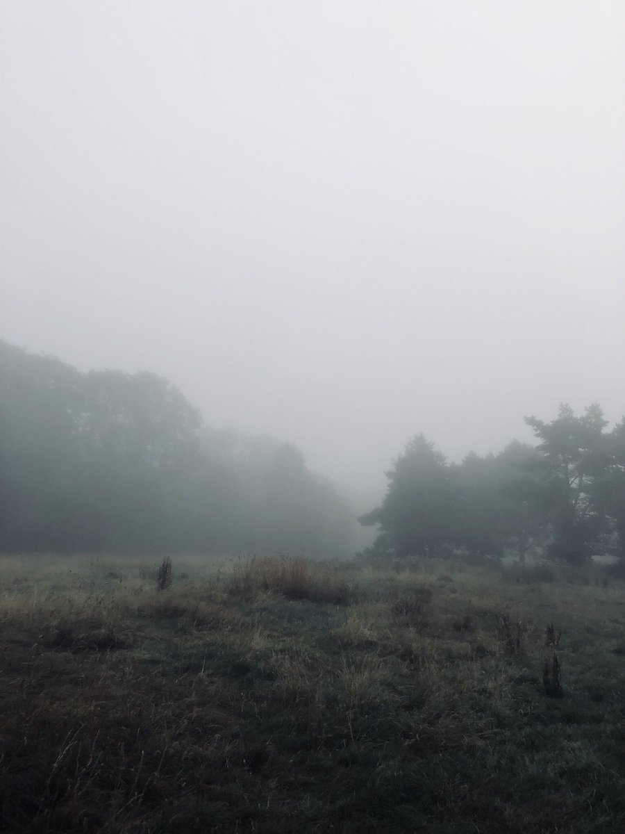 Good morning November