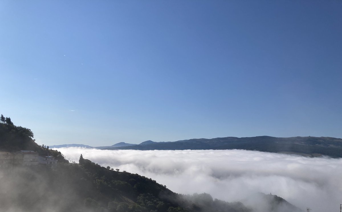 Angela Paolantonio💭🍷 tweet media