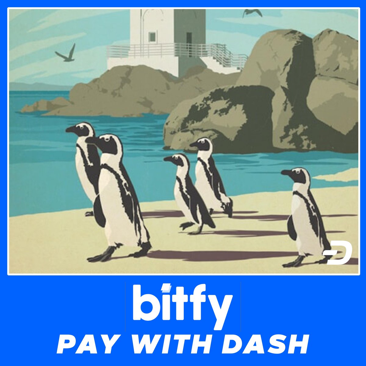 Dashnobi tweet media