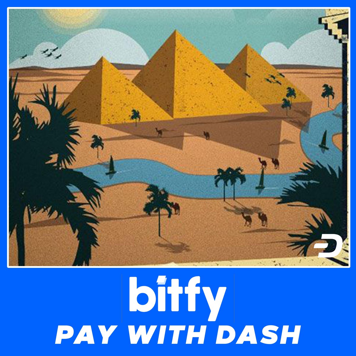 Dashnobi tweet media