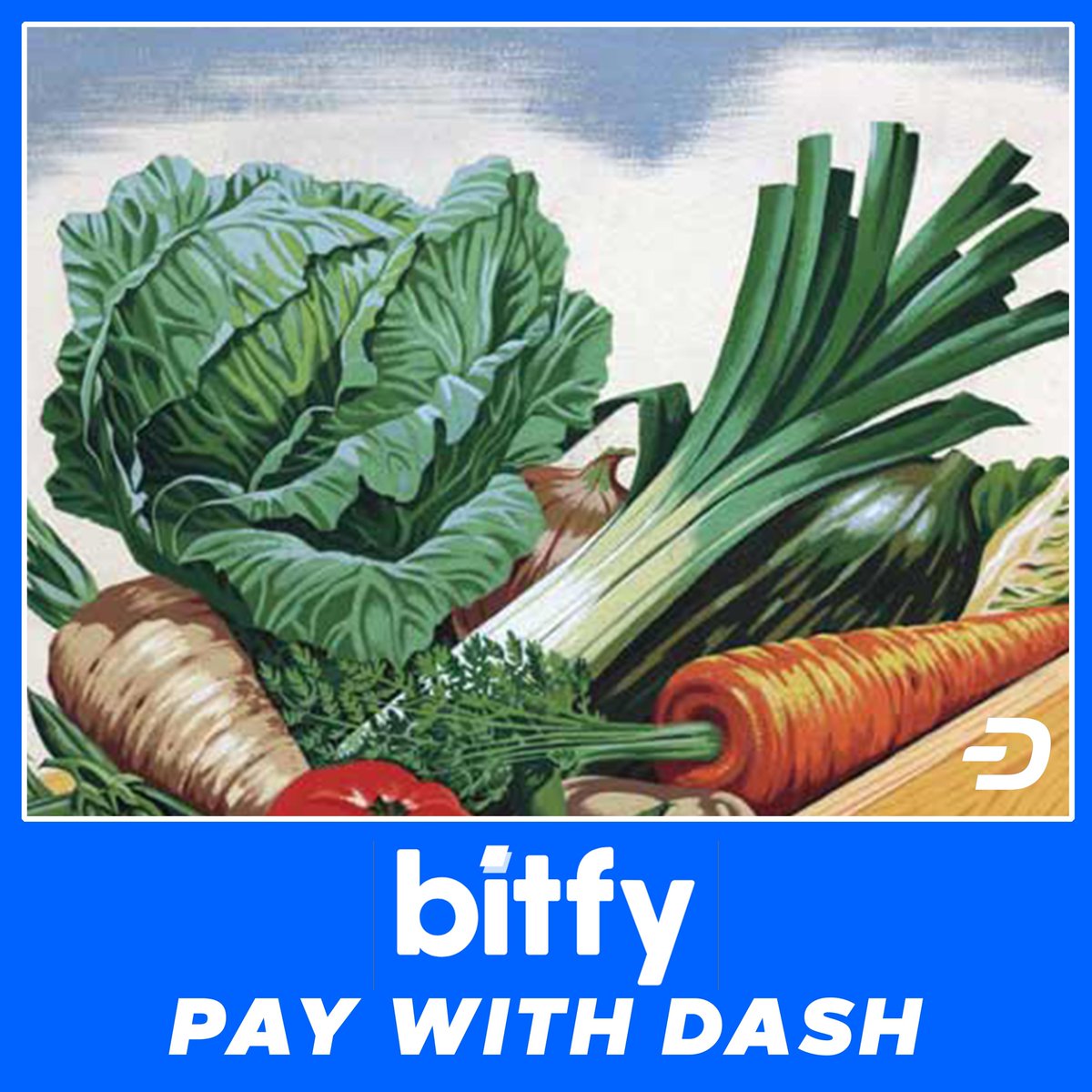 Dashnobi tweet media