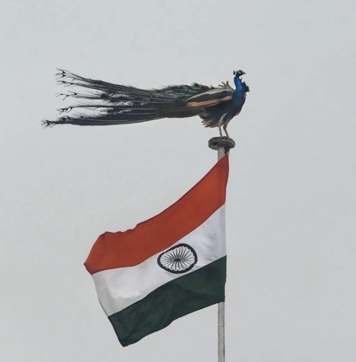 GitikaPandey's tweet image. Best picture ever!!!!