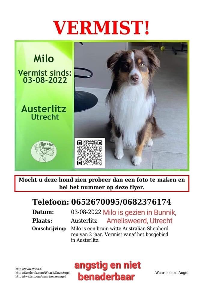 Helpen jullie mee zoeken? 
#waarisonzeangel #Milo