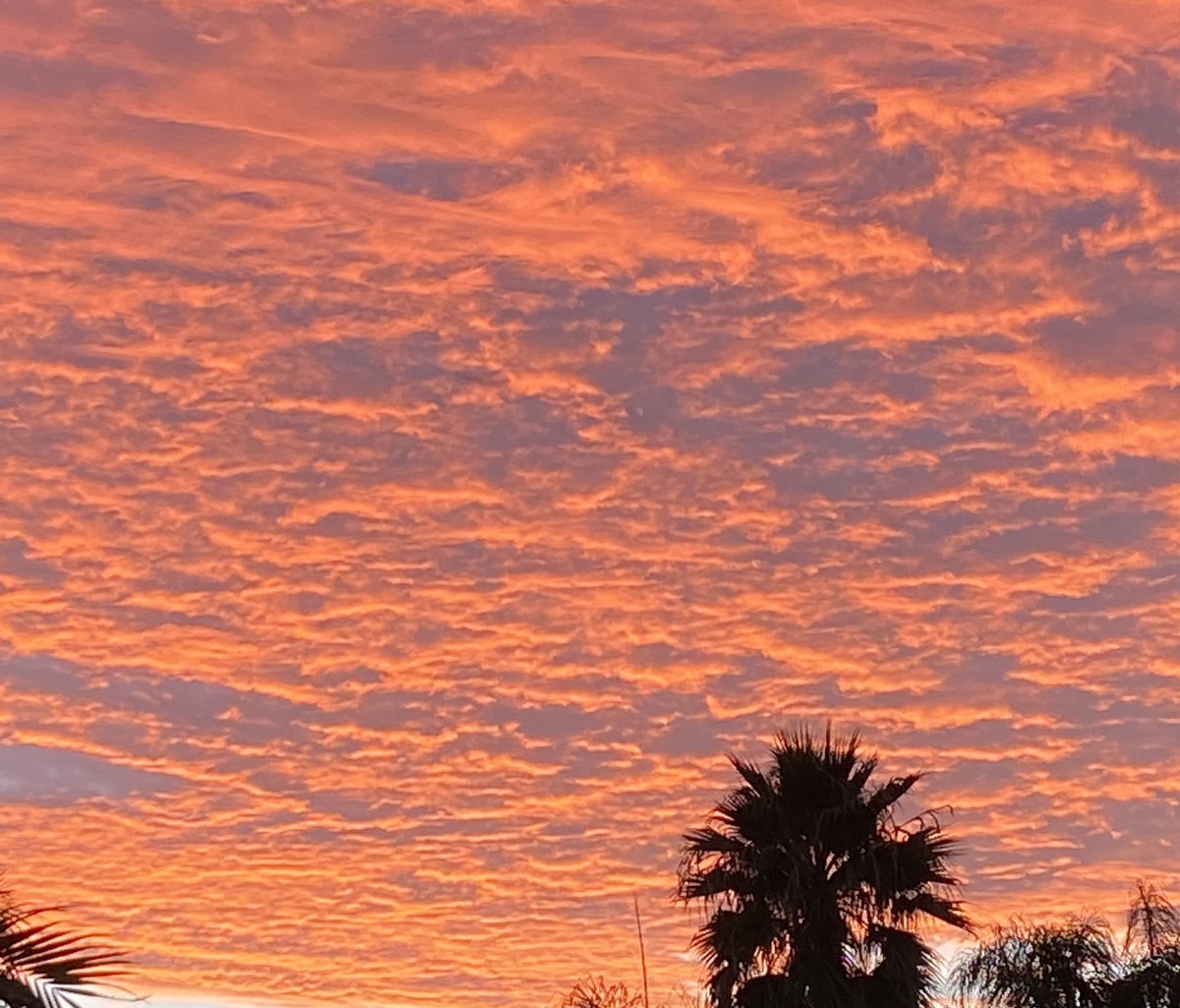LongLiveCorgis's tweet photo. Stunning sunset in San Diego. #SanDiego #weather #sunsets https://t.co/vnGcfrOtrp
