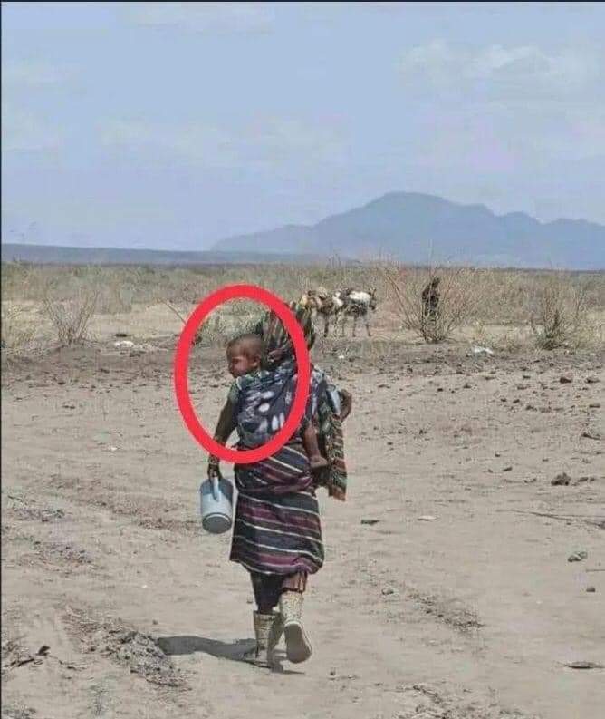 faisalroble19's tweet photo. Displaced Somalis by Afar forces in the middle of no where. Both the Somali regional State and ENDF failed to defend Somali civilians. https://t.co/hi4h0NdXso