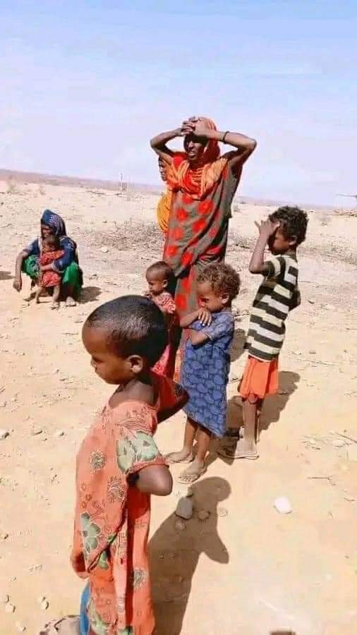 faisalroble19's tweet photo. Displaced Somalis by Afar forces in the middle of no where. Both the Somali regional State and ENDF failed to defend Somali civilians. https://t.co/hi4h0NdXso