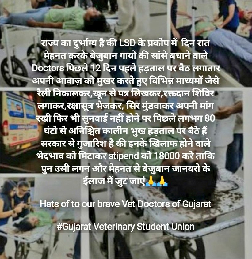 Jitendrabarad26's tweet photo. ગુજરાતમાં વેટરનરી ઈન્ટર્ન ડોક્ટરોને 1 વર્ષ ઈન્ટર્નશીપ હોય છે જેનું સ્ટાઈફંડ 4200/- છે જે હાલની સ્થિતિ &amp; અન્ય રાજ્યોની સરખામણીમાં ઓછુ છે જેમકે,હરીયાણા 14000/- વારાણસી 23500/- આપે છે, આ ભથ્થુ 18000/- થાય  આ બાબત વિધ્યાર્થીઓને ન્યાય &amp; સંતોષ મળે જે અંગે ઘટતુ કરશો
@CMOGuj
@PMOIndia https://t.co/651vHhWCHI