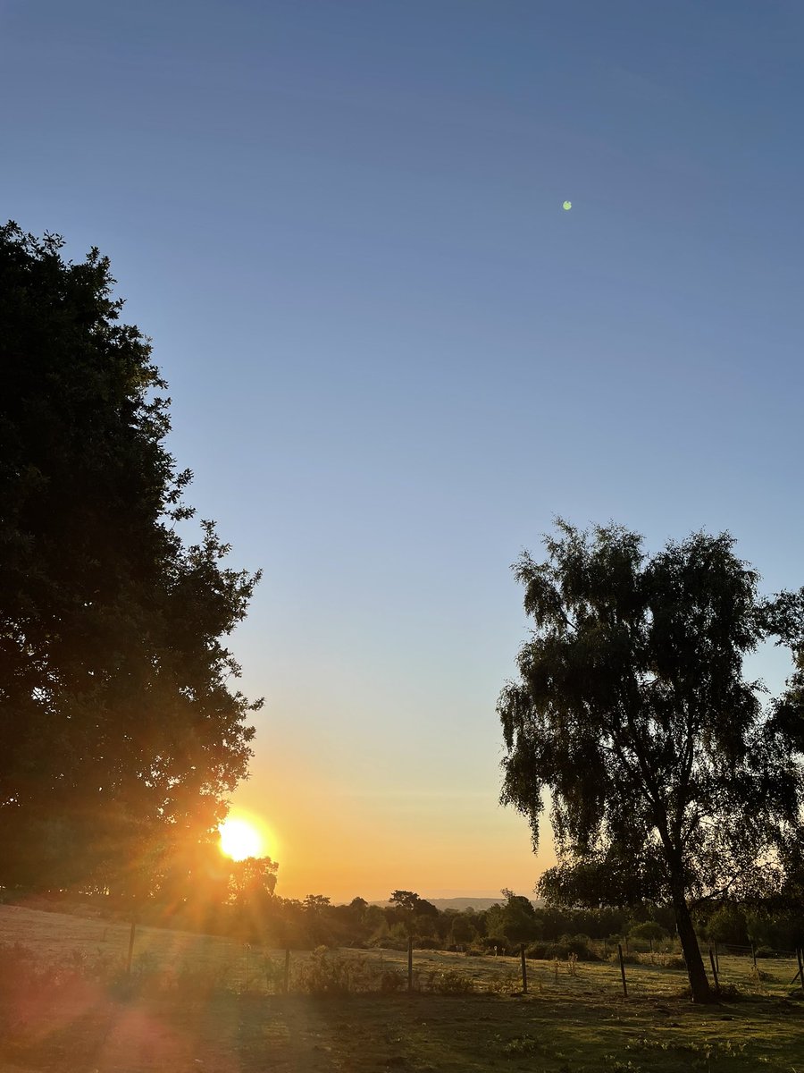 jez_wicks's tweet photo. Going to be a fabulous weekend! #sunrise https://t.co/cEO159H1cP