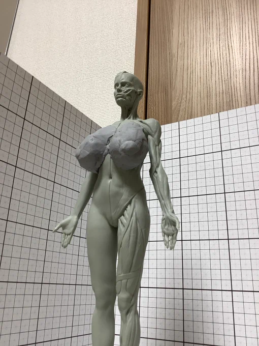 今回のすじ供養で黒耀のおっぱいがわからなすぎて、練り消し検証した。 