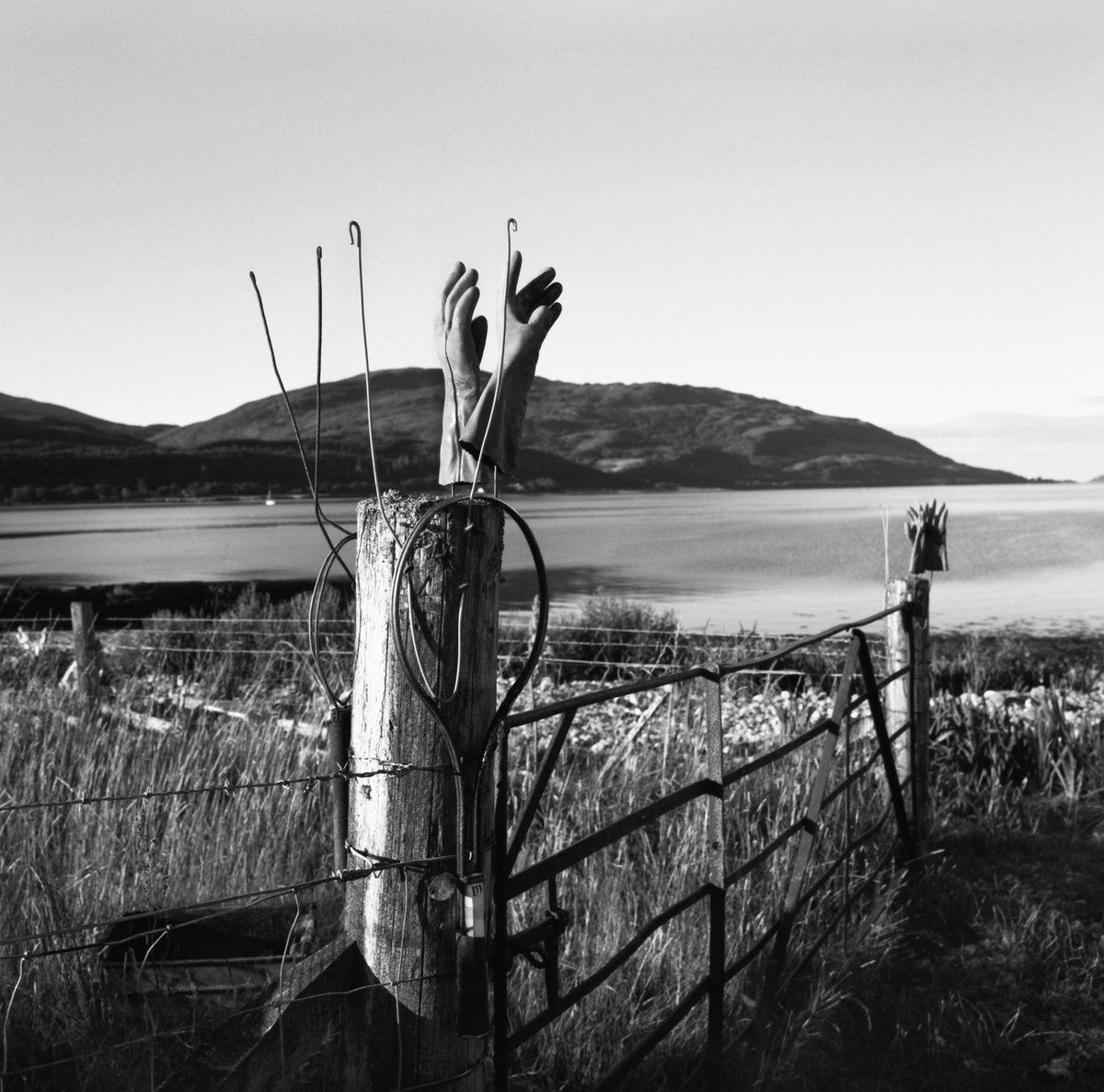 DocuScotland's tweet photo. We have another exclusive for you today.
Photographer @germanocean was on assignment this week working on #CatchingTheTide.
By becoming one of our valued @patreon supporters you can see his ongoing documentation of #Scotland’s last salmon net fishermen.
https://t.co/LvMBVS76OM https://t.co/XHwr66Qa8H