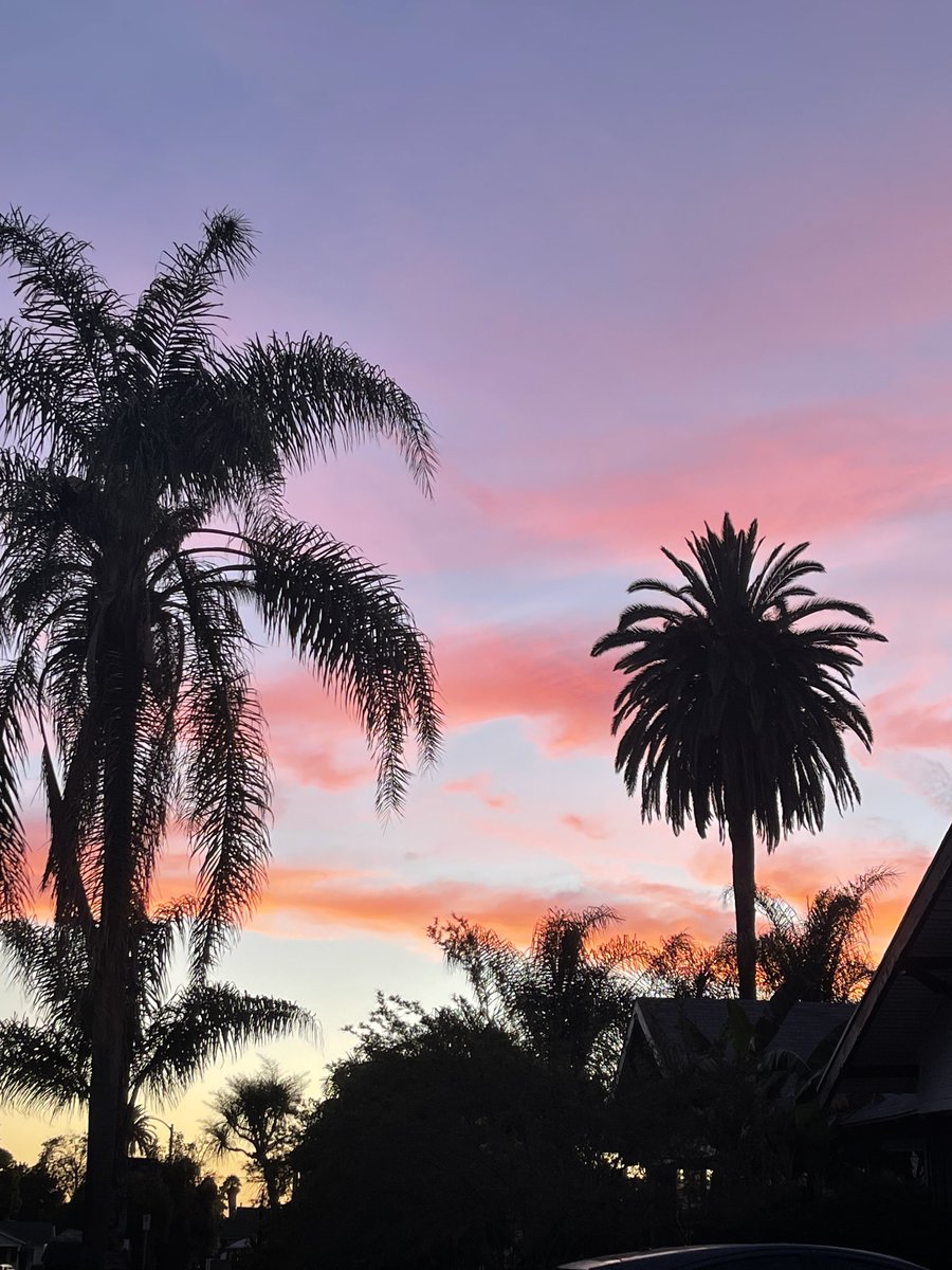 tripleMMeaning's tweet photo. Sierras for my Sanity:2022 is over and I’m missing my trees.
So, I committed to “making due” with the trees here, these days.
FIN 🧵
#Route395 —> #LosAngeles https://t.co/qVz1uAvnEg