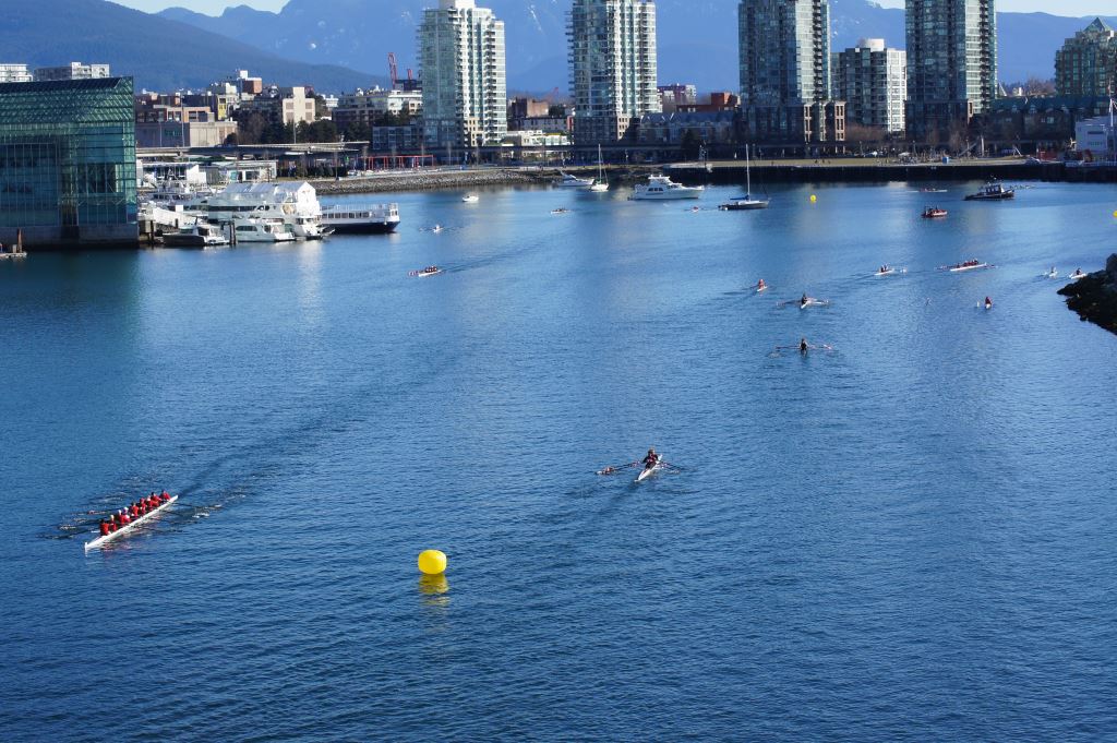 RowFalseCreek's tweet photo. Head Up The Creek Rowing Regatta Notice - returning to False Creek on Sunday October 30th, 2022 - https://t.co/hGARtbTEQ2 https://t.co/51OiidRPcC
