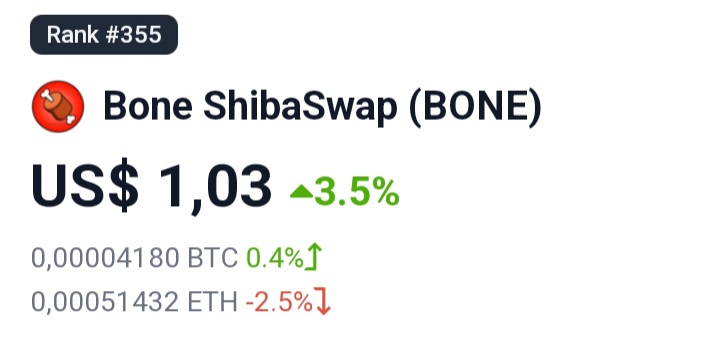 BeishuizenEllen's tweet photo. $BONE 🥳 https://t.co/2RULZ7aziy