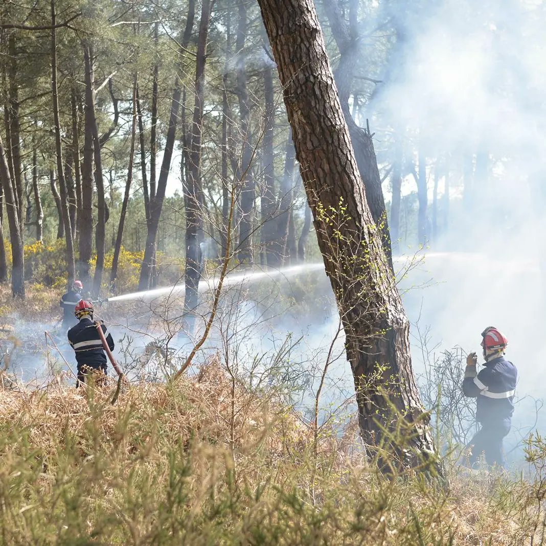 SaintCyrCoet's tweet photo. Nos soldats du feu engagés aux côtés du #SDIS56 et @SDIS35officiel renforcés des sapeurs-pompiers du Grand-Ouest.
Ensemble pour lutter contre l' #incendie qui s'est déclaré sur la commune de #Campénéac.
Pompiers, agriculteurs, volontaires, militaires. Tous mobilisés.
MERCI ! https://t.co/sGw20Ui9cn