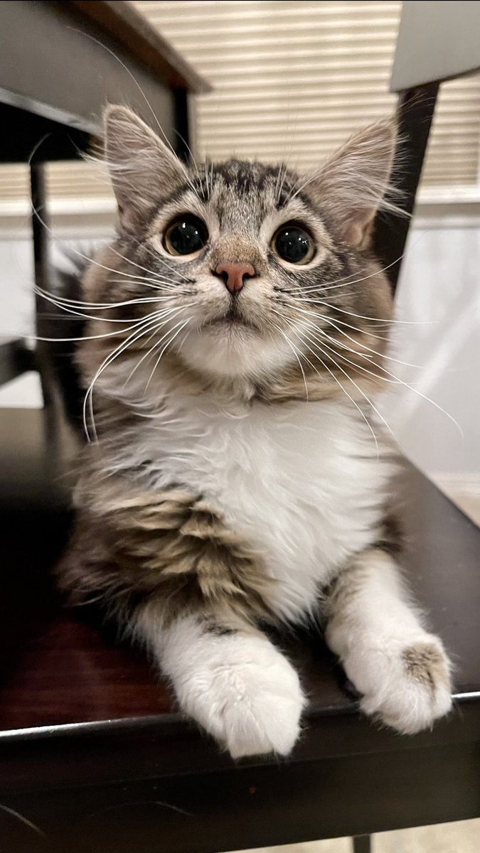 This year and a half transformation might just be the cutest thing I’ve ever seen🥲🤍